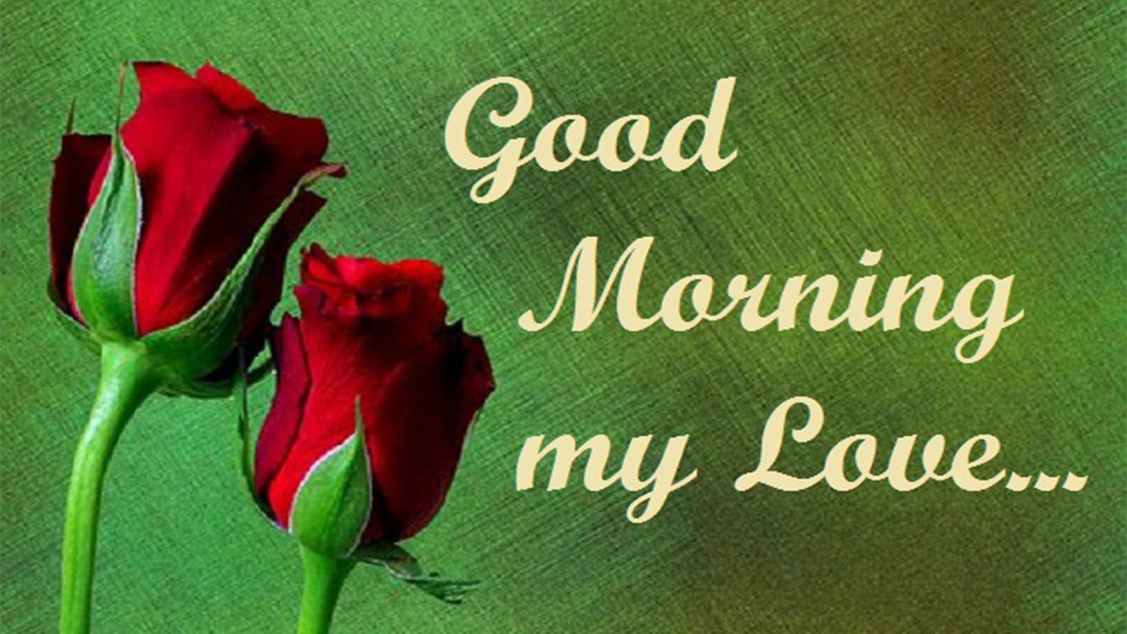 good morning my love