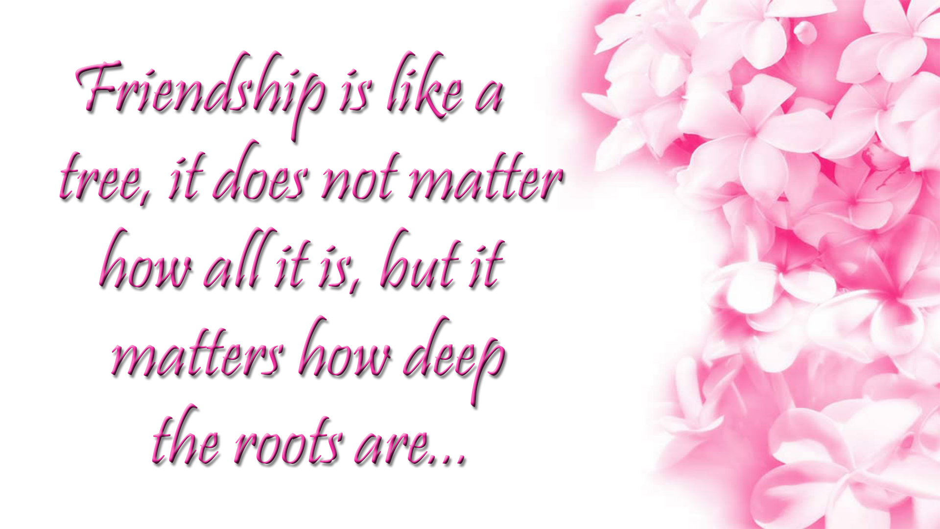 beautiful friendship quotes
