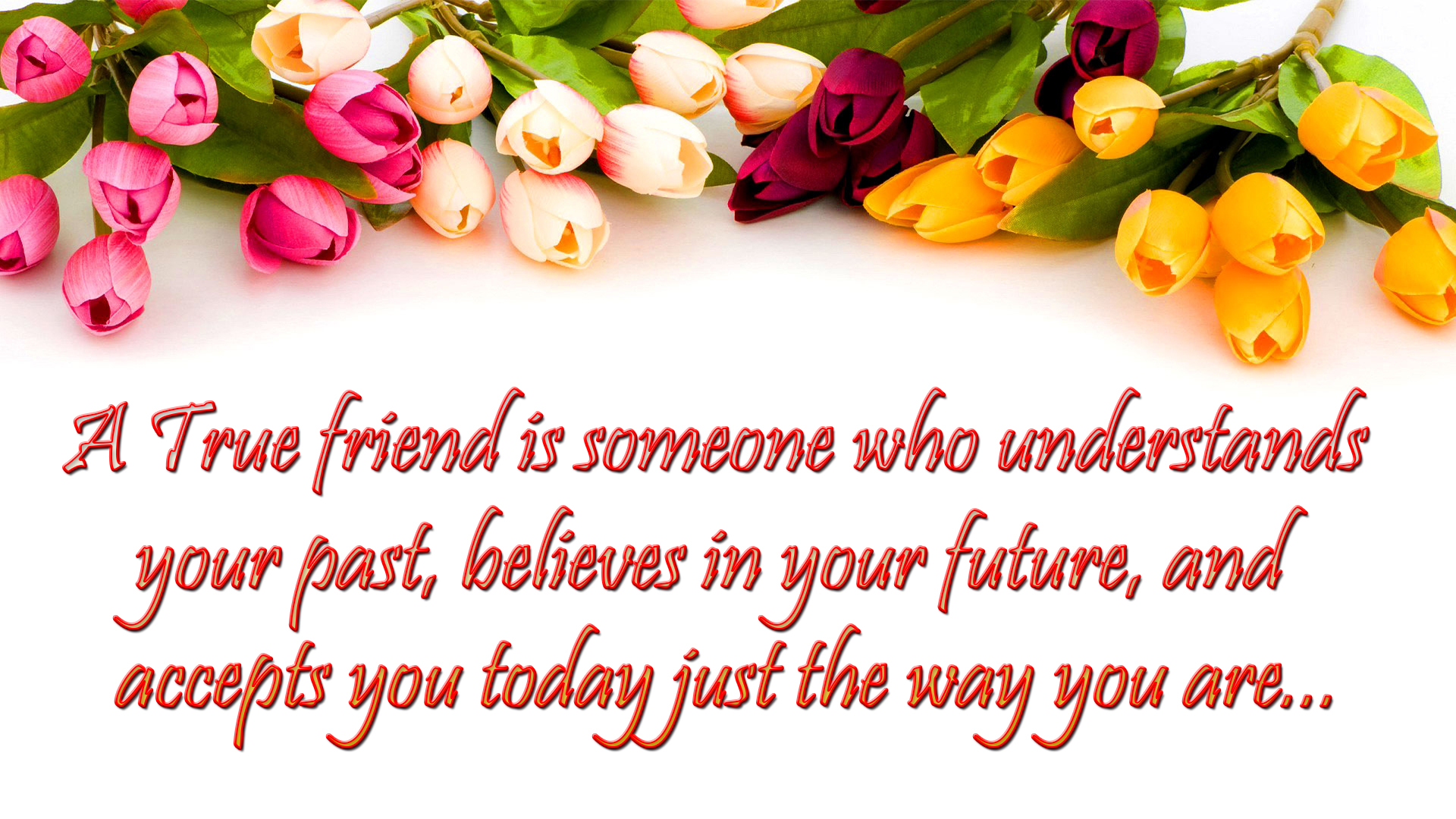 friendship quotes image