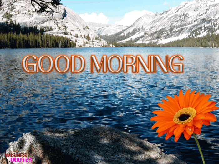 Good morning gif images for whatsapp free download