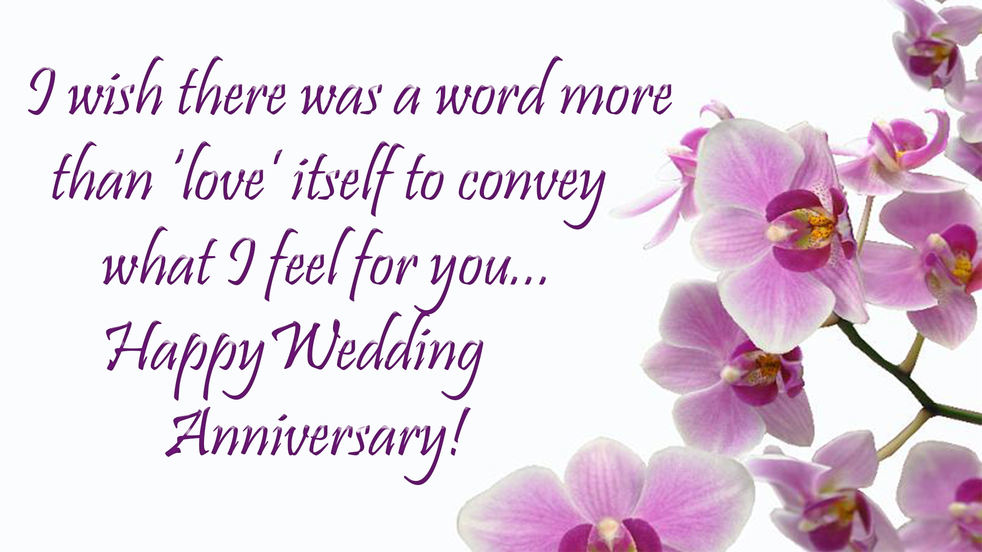 happy wedding anniversary quotes image