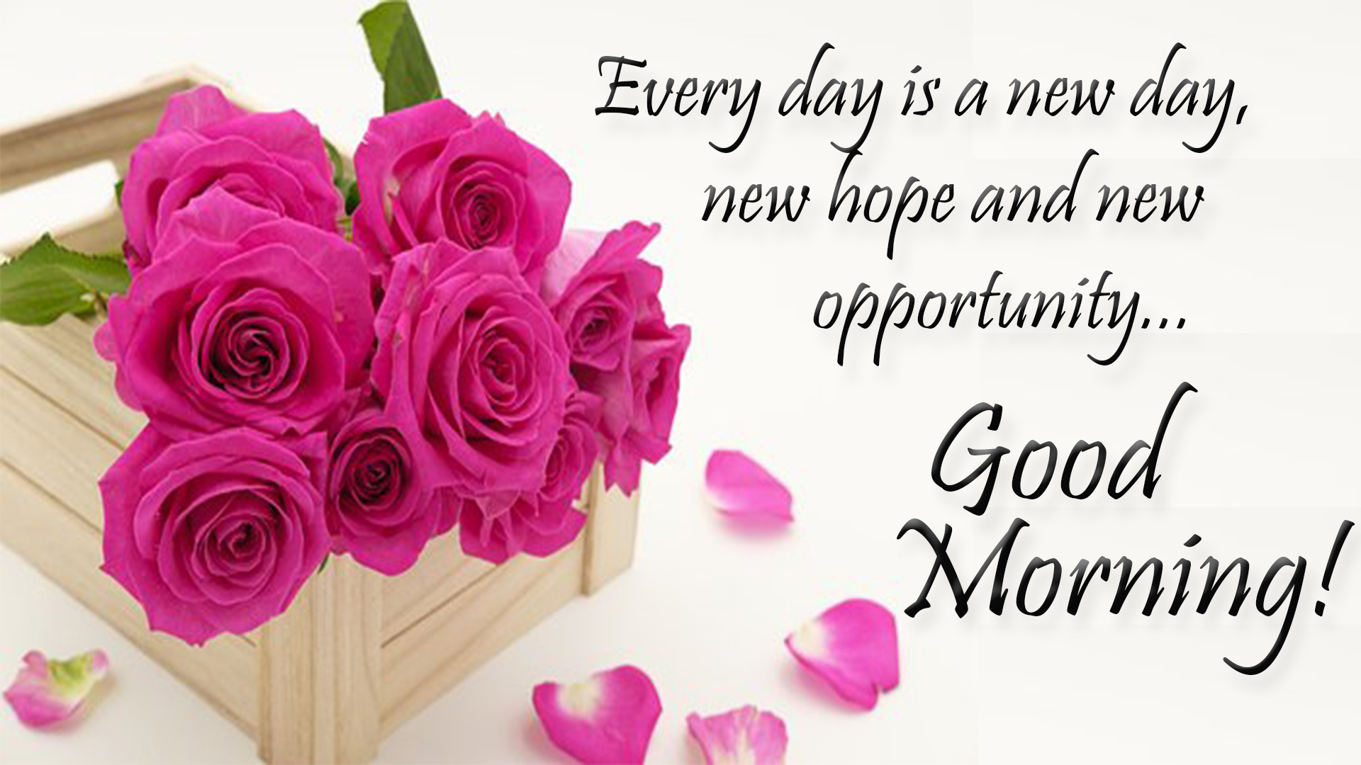 Good Morning Quotes HD Images | Morning Greetings & Messages