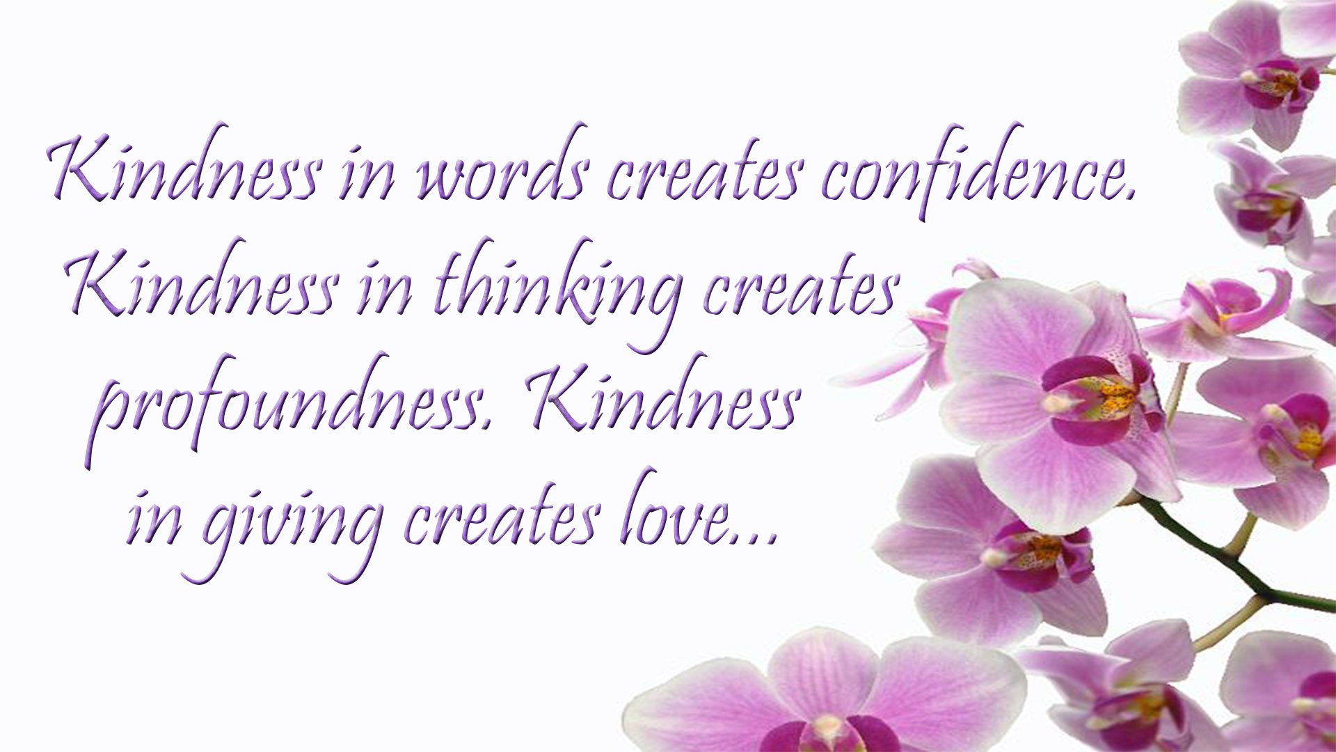 world kindness day quotes image