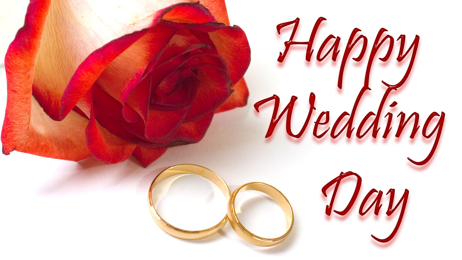 wedding day wishes hd image