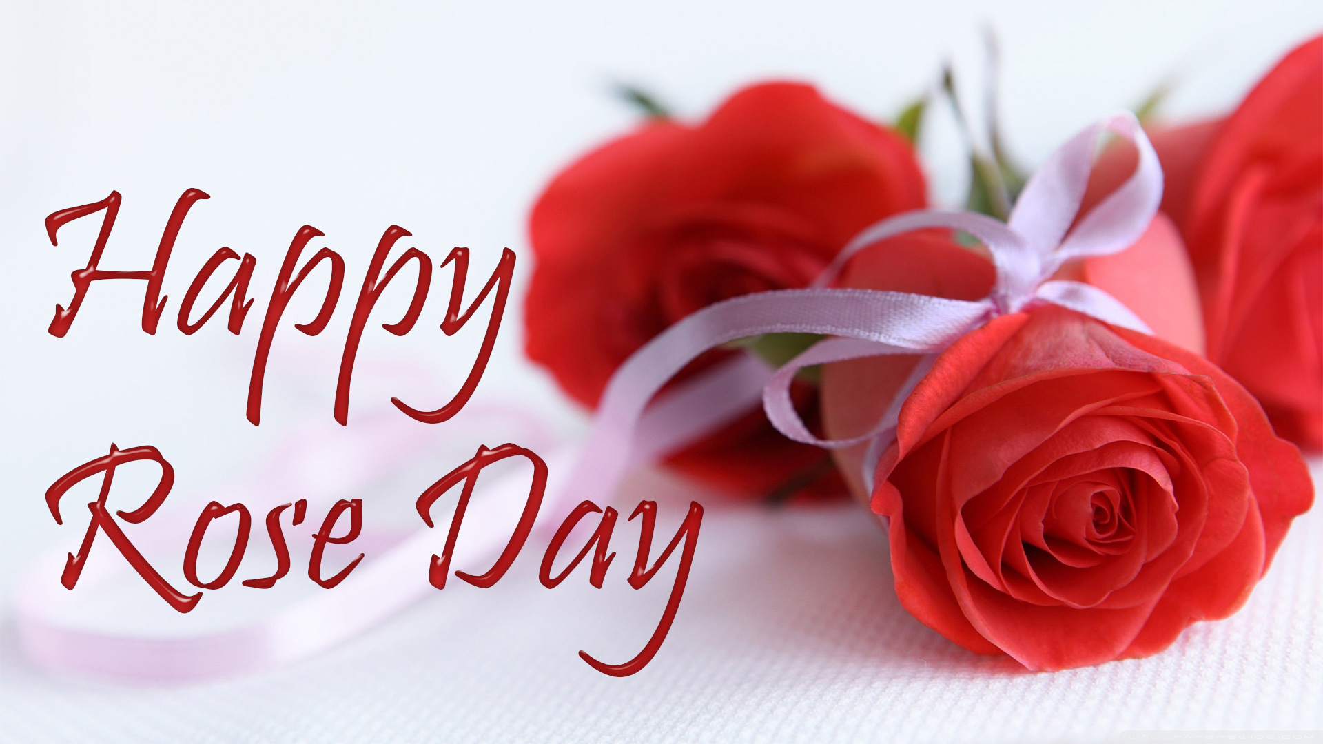beautiful happy rose day image
