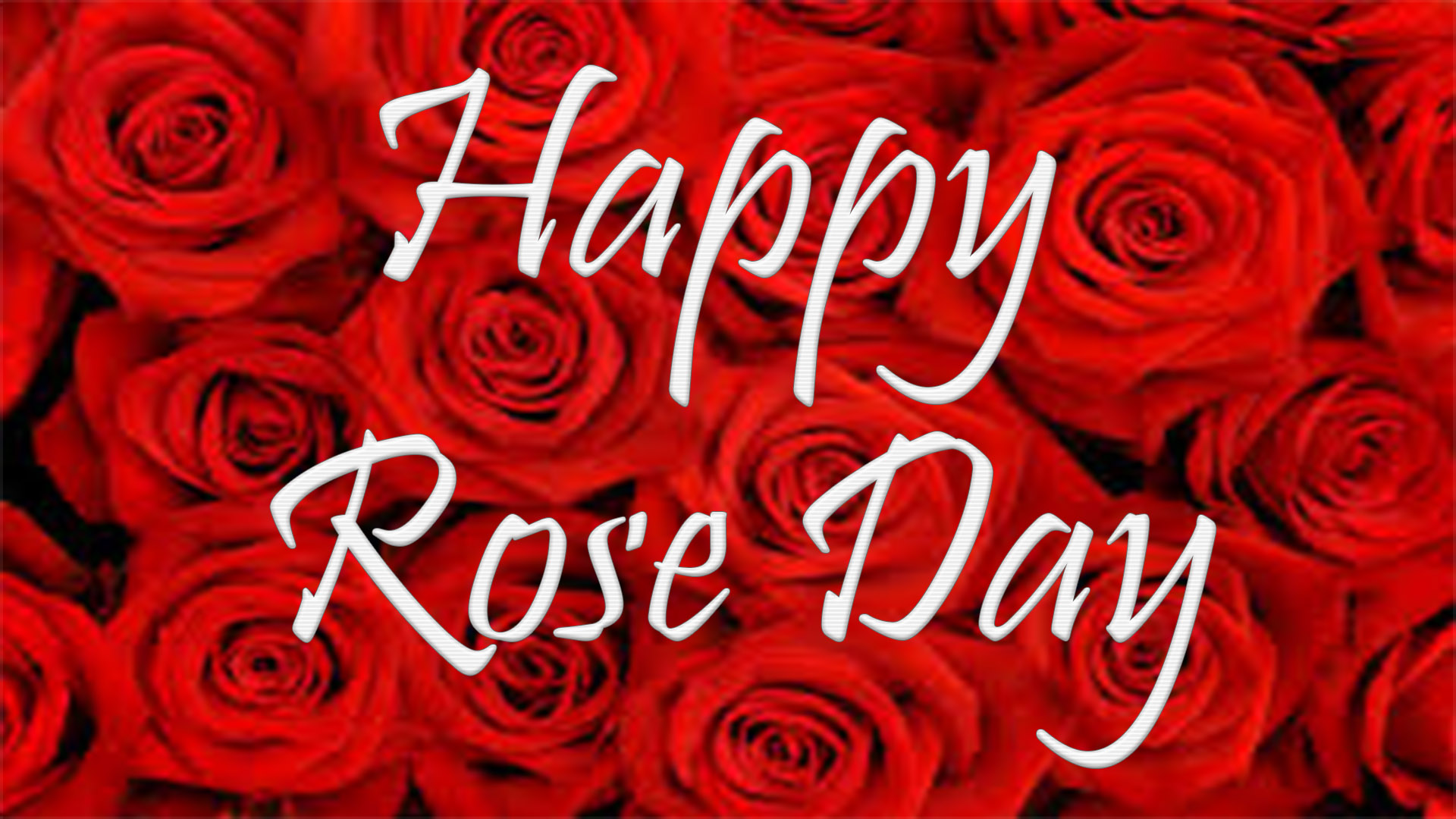 happy rose day hd picture