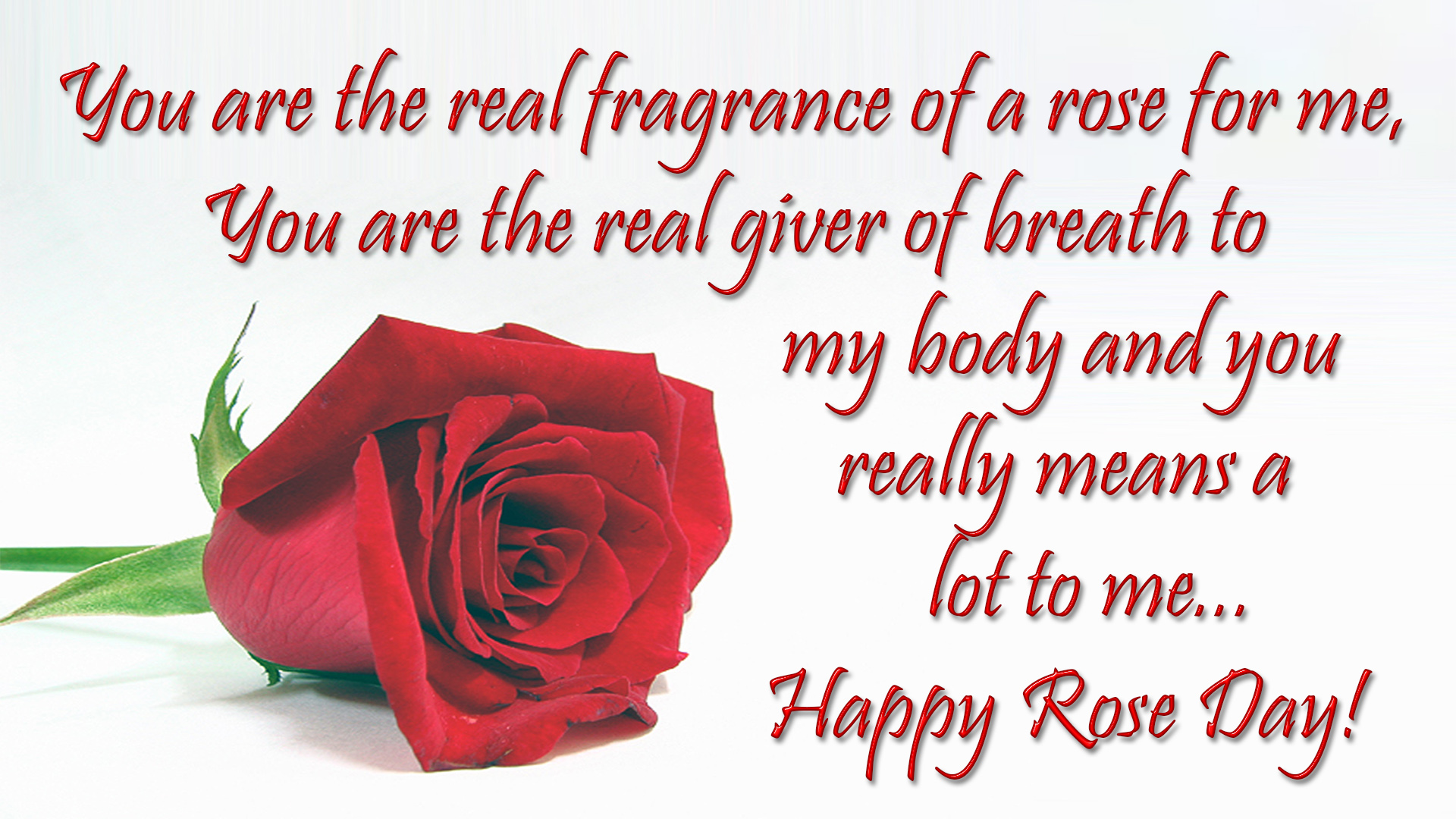 rose day wishes 2019