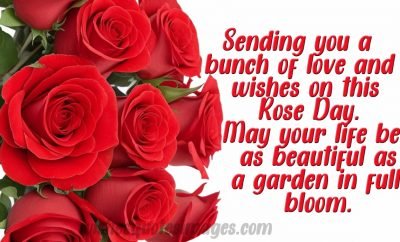 rose day wishes