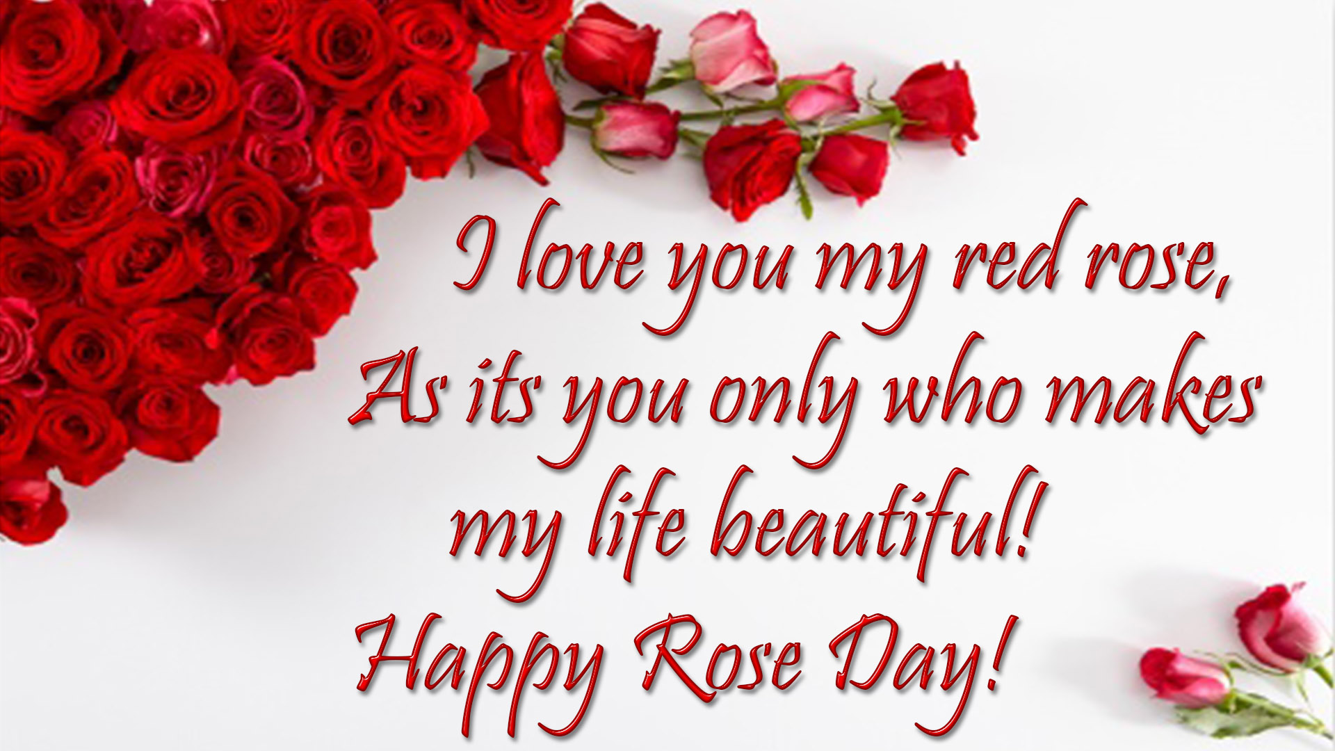 rose day wishes hd image