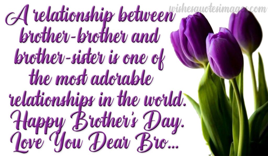 brothers day quotes image