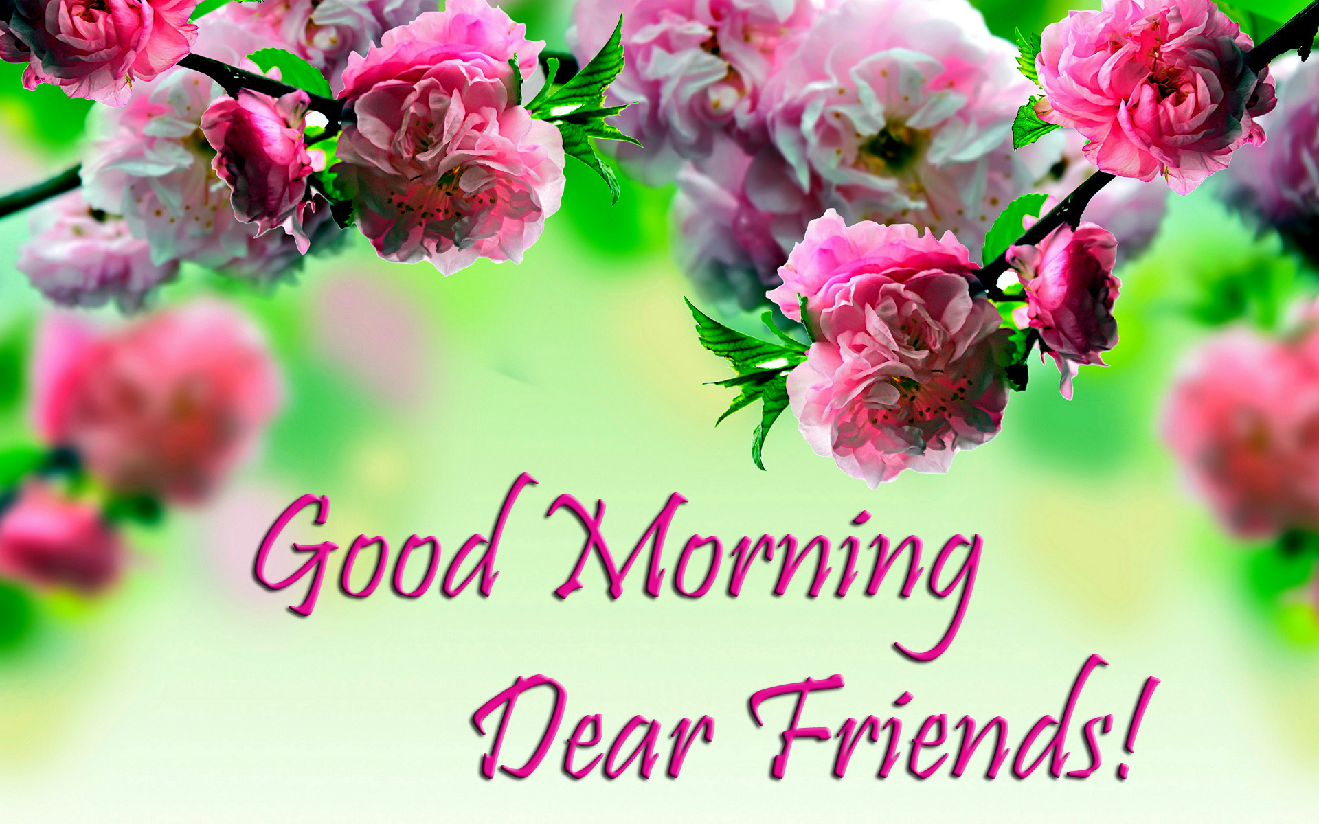 good morning dear friend image