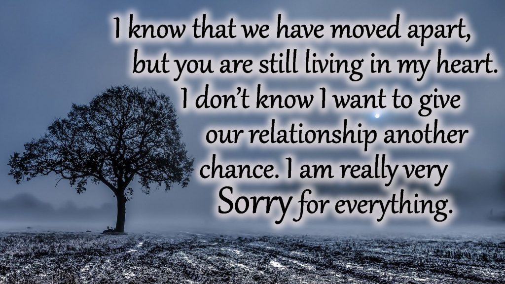 i am sorry love message hd image