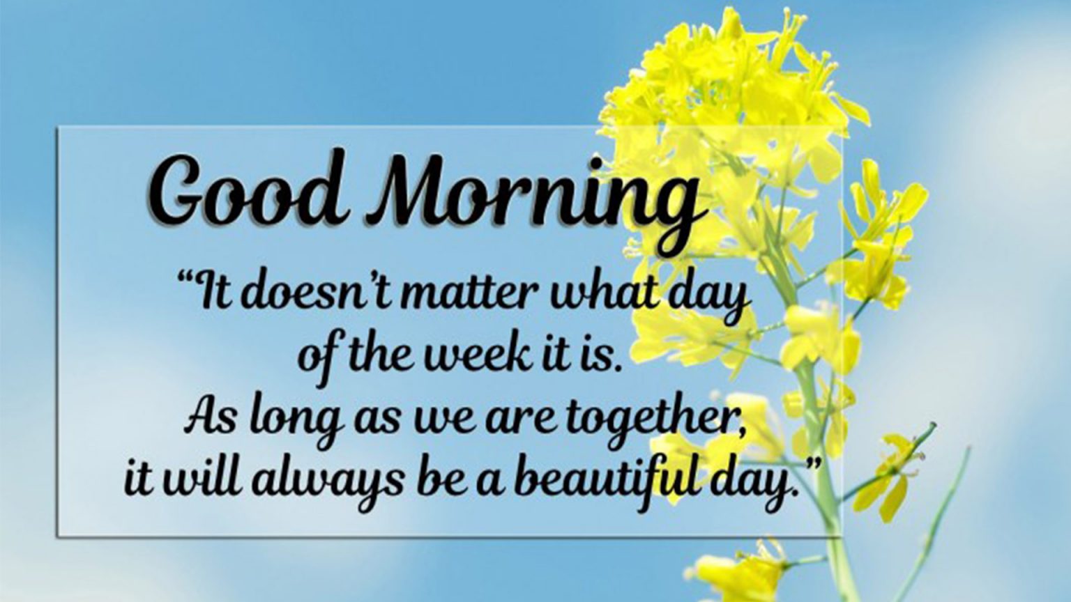 100 Beautiful Good Morning Quotes, Wishes & Messages 2023