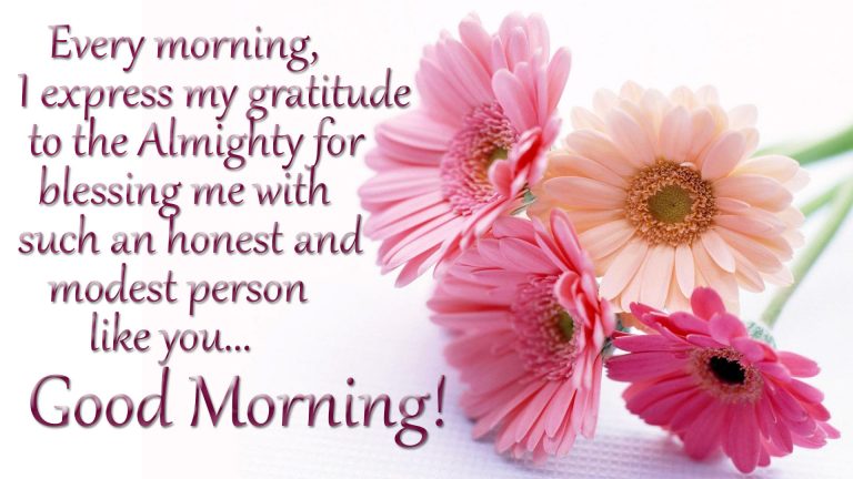 100 Beautiful Good Morning Quotes, Wishes & Messages 2024