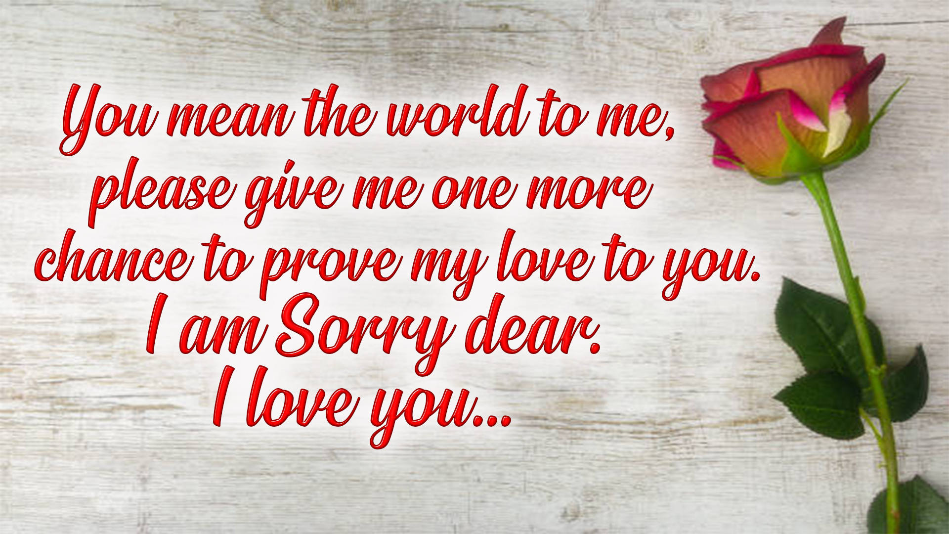 sorry my love message image