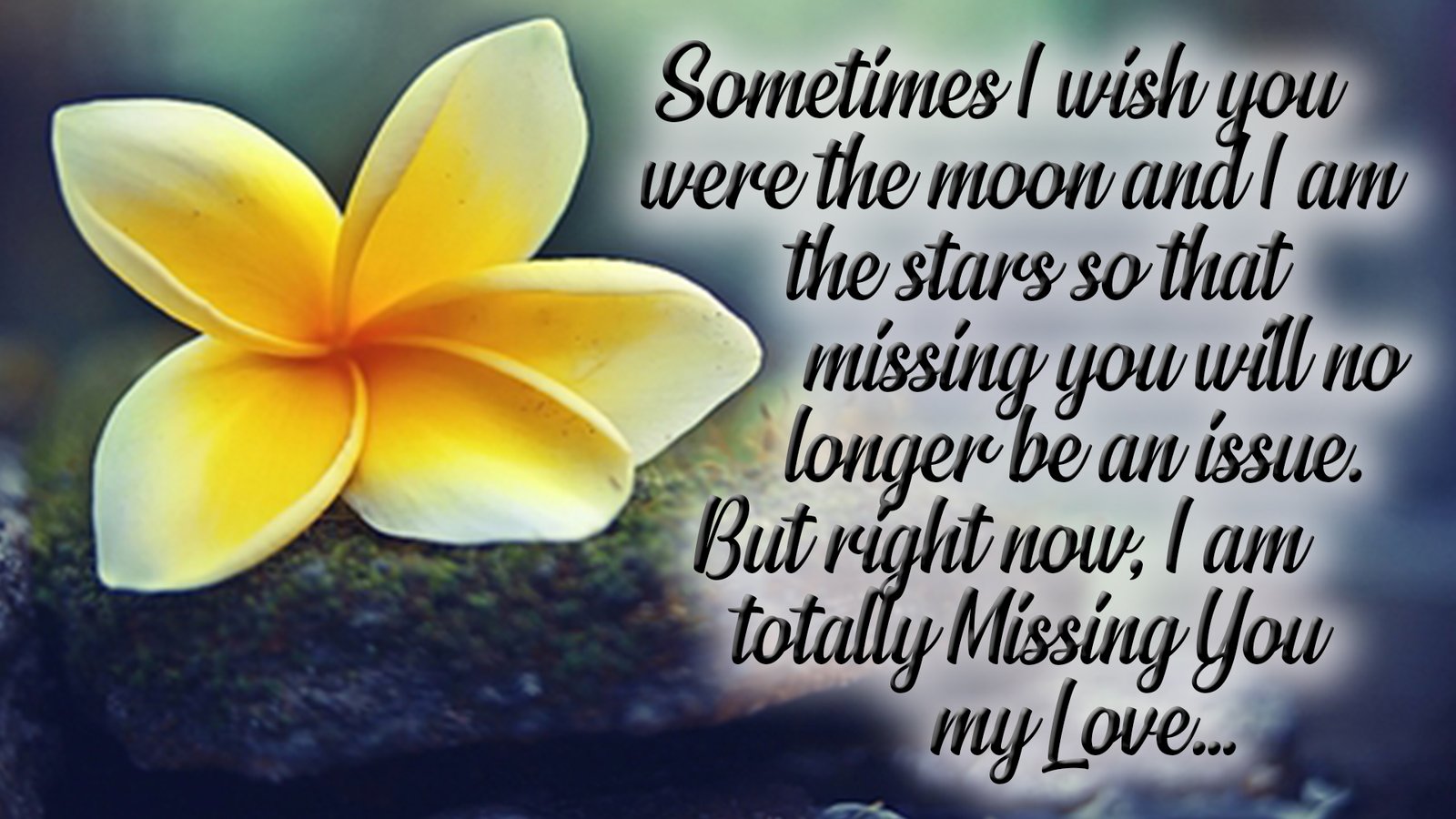 miss you quotes for lover