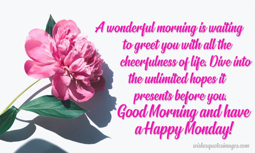 happy monday wishes and message image