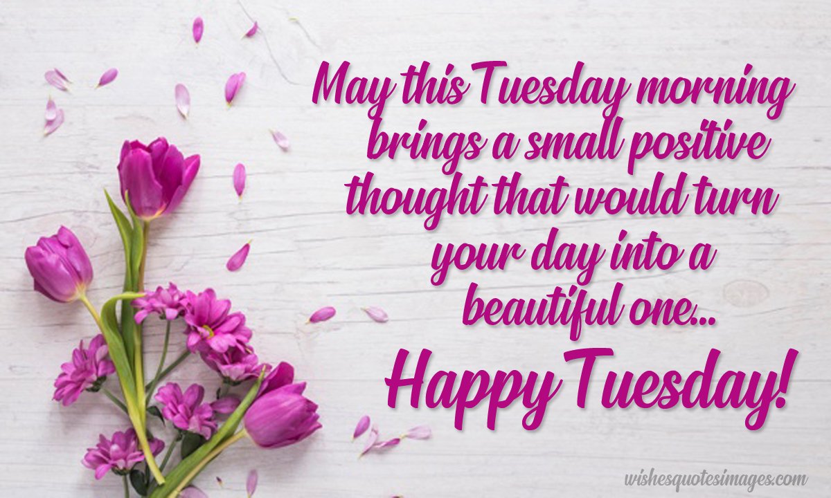 happy tuesday wishes image