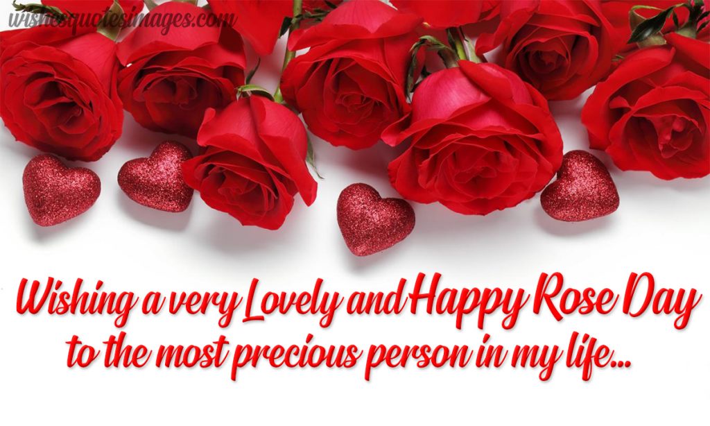 happy rose day image wishes