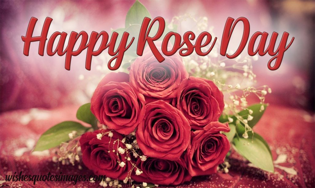 rose day greeting image