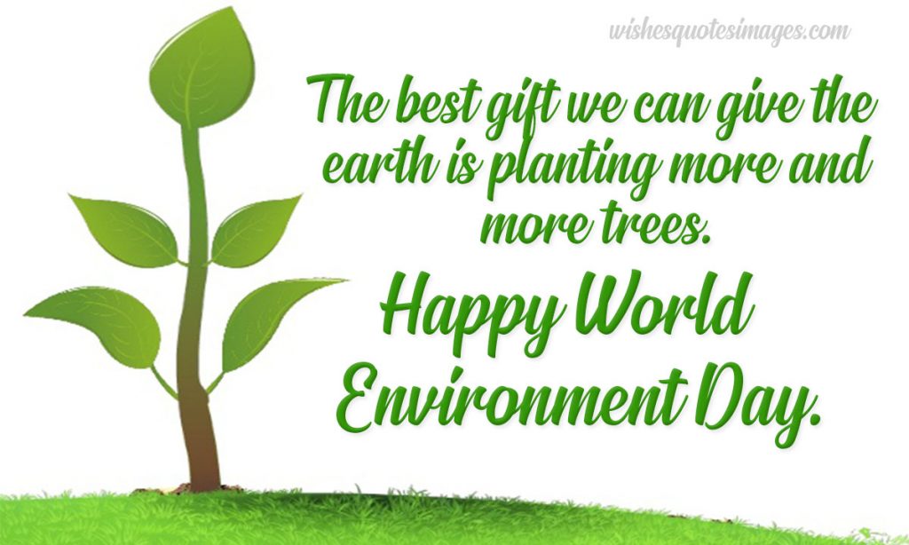 environment day message