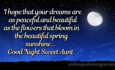 good night sweet aunt image