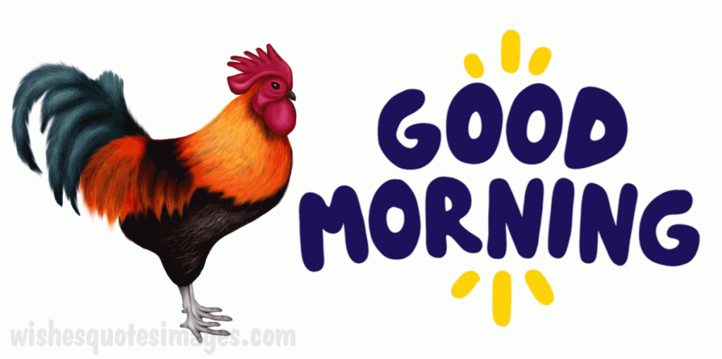 good-morning-cock-gif-image