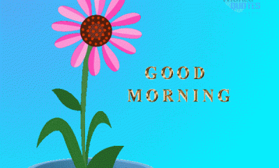 good-morning-gif-flower-plant-2023