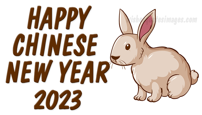 happy new year chinese 2023