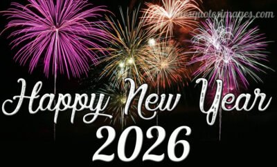 new year firework image